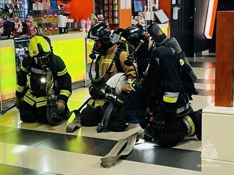     Фото: Пресс-служба МЧС Петербурга.