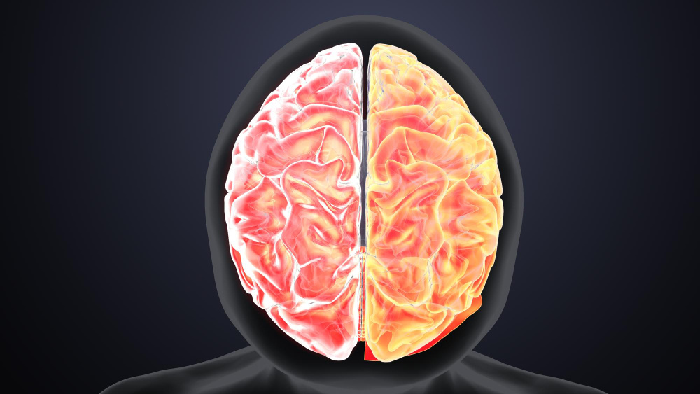 Органические и нейрофизиологические. (источник изображения: freepik.com)