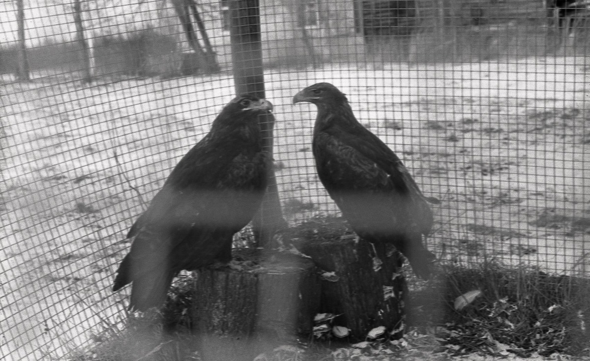 Так начиналась их любовь