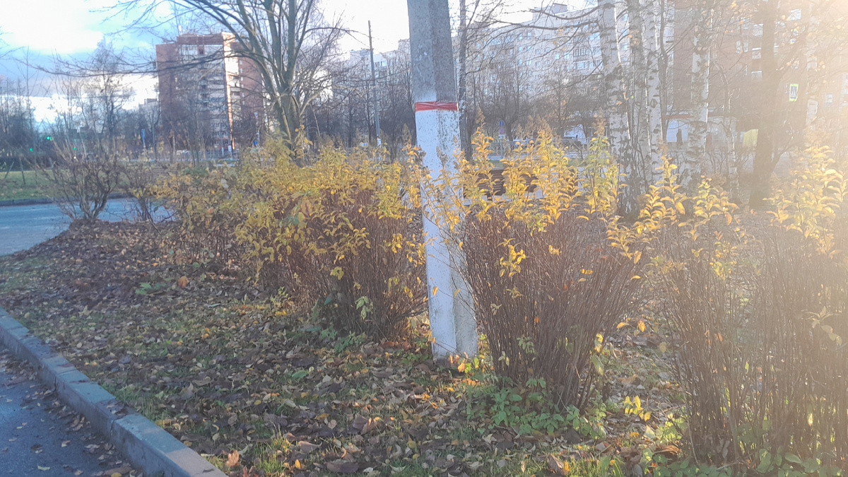 Фото Автора канала - Канал о природе Ирины Одарчук Паули