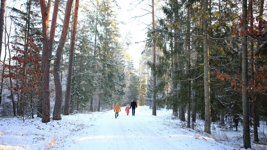    Семьям с детьми до 7 лет в Петербурге предложили платить по 50 тыс. Автор фото: Kolabava Nadzeya/shutterstock.com