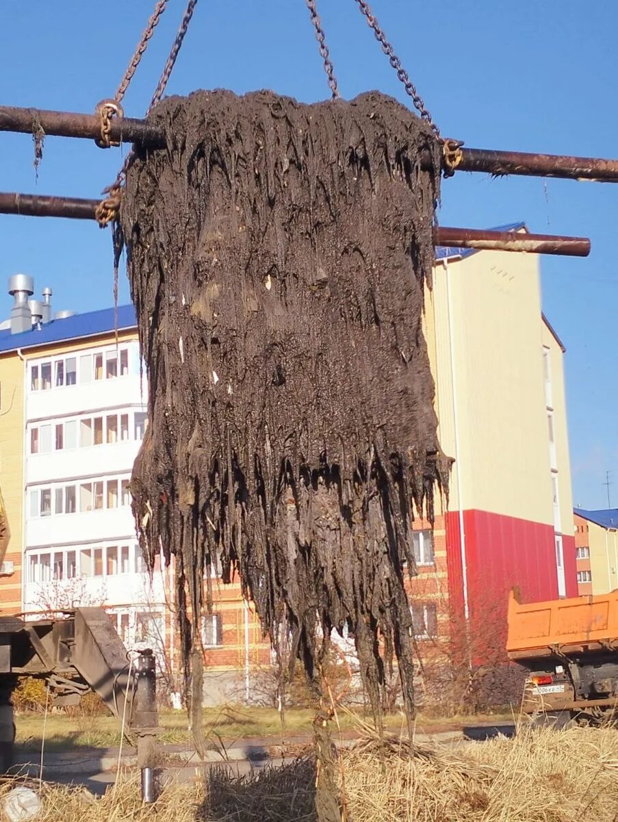 Коммунальщики показали, чем забиты канализационные трубы в Кургане. Фото: пресс-служба «Водного Союза»