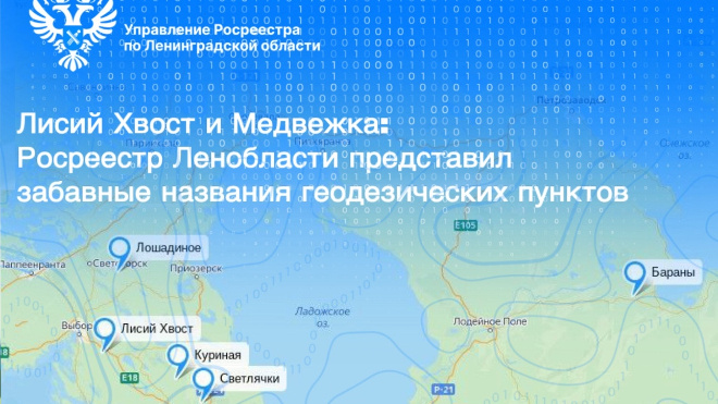 Фото: Пресс-служба Управления Росреестра по Ленинградской области