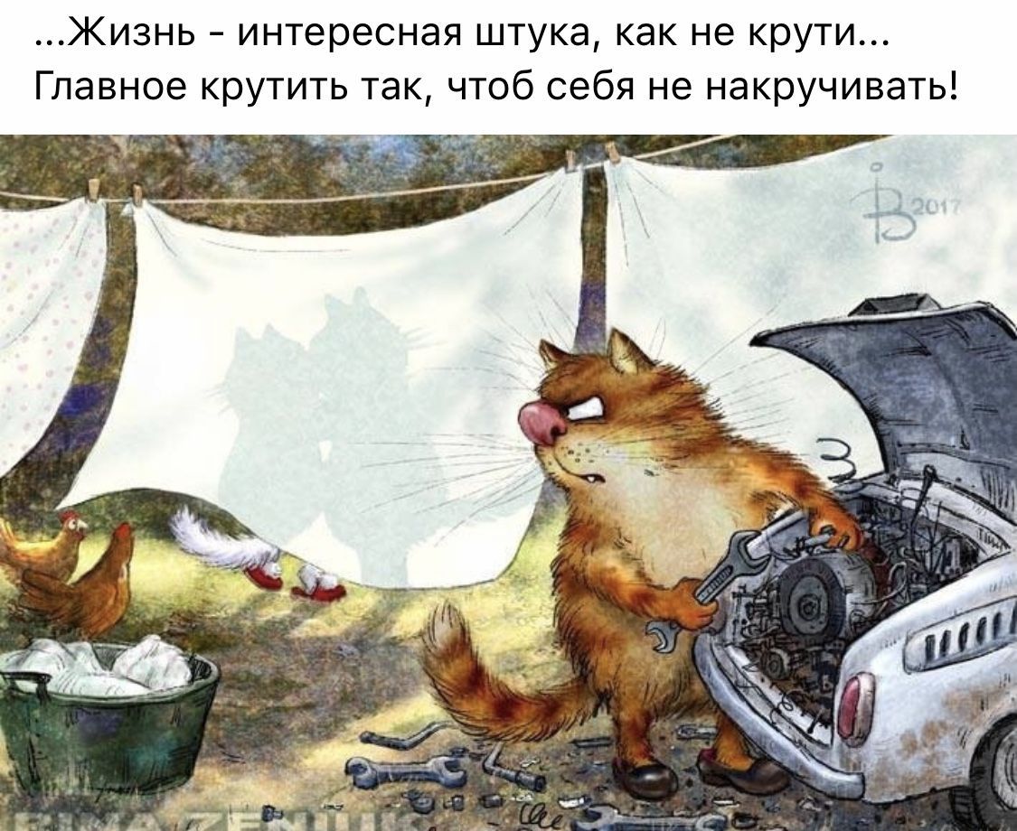 очаровательные коты Рины Зенюк