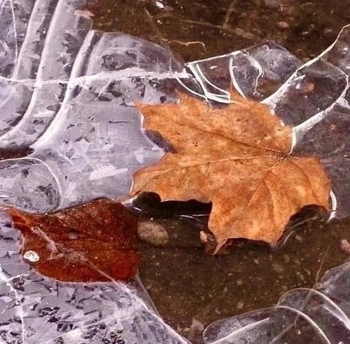 первый лед на лужах