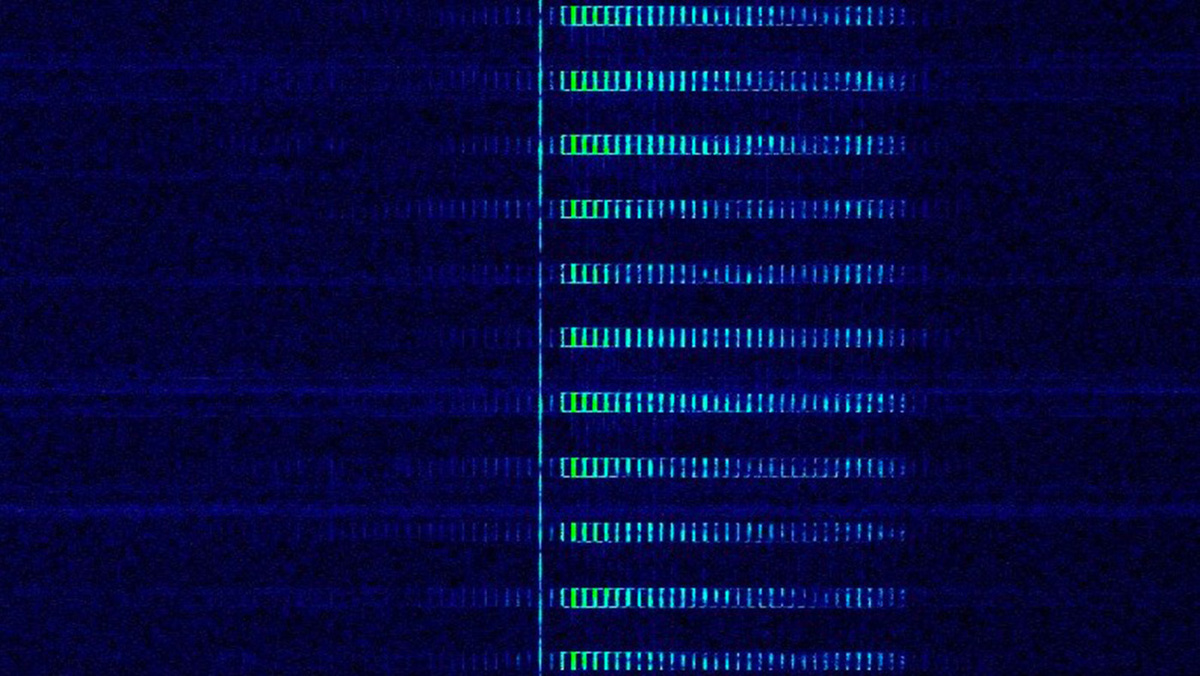   Wikimedia Commons (CC BY-SA 4.0)