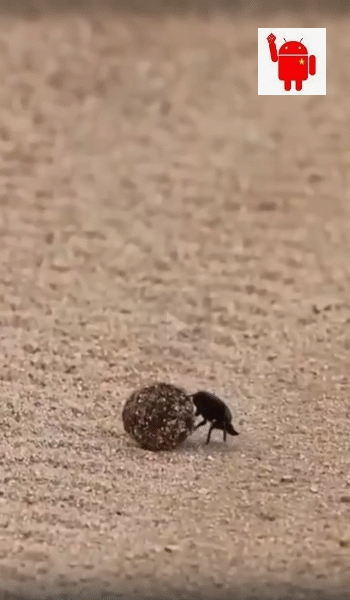 Чей-то незримый взор всегда устремлён на тебя...