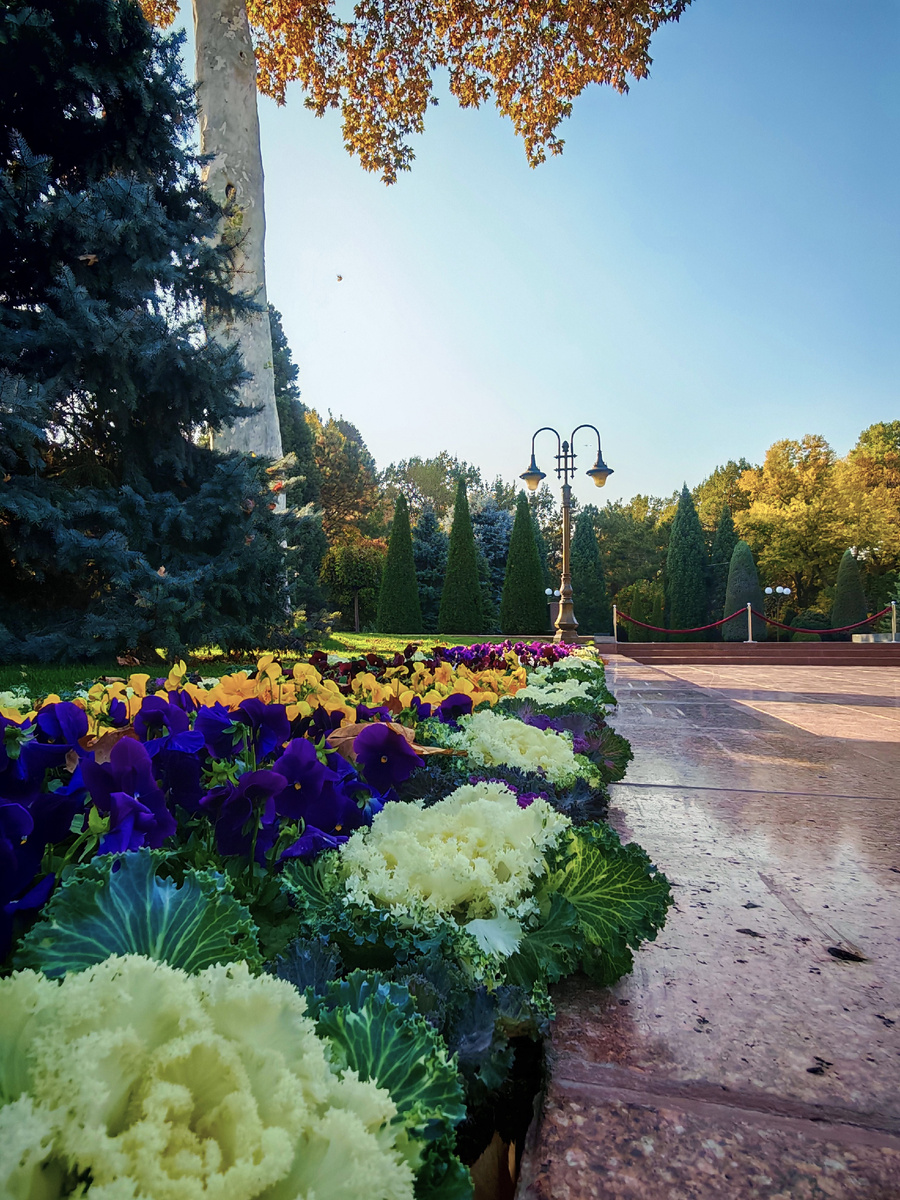 Парк. Фото из личного архива.