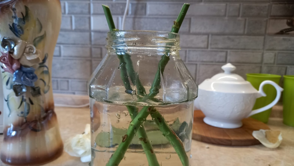 Результат говорит сам за себя - домашние составы работают в разы лучше