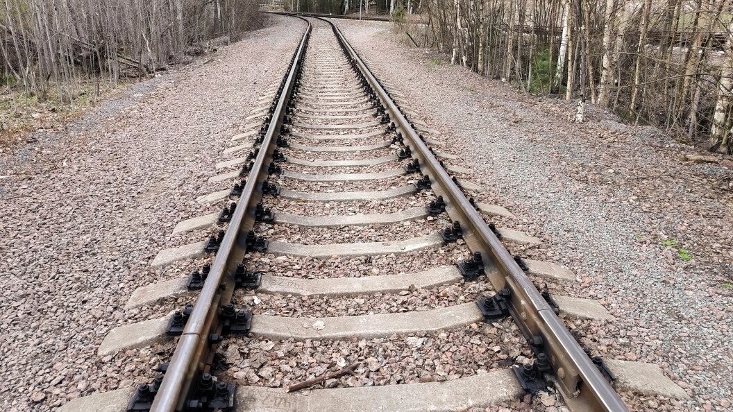    Фото: Maksim Konstantino/Globallookpress