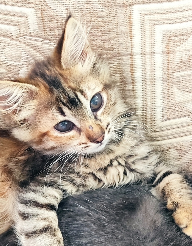 Марфуша. которой мы летом лечили глазки...