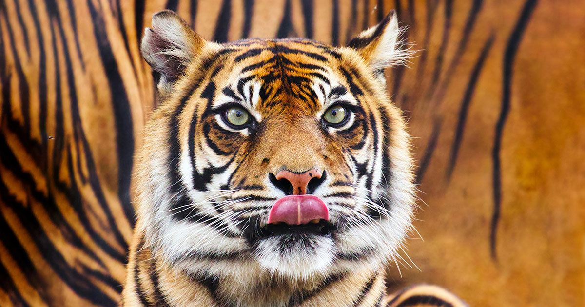 Jack McCracken / Unsplash