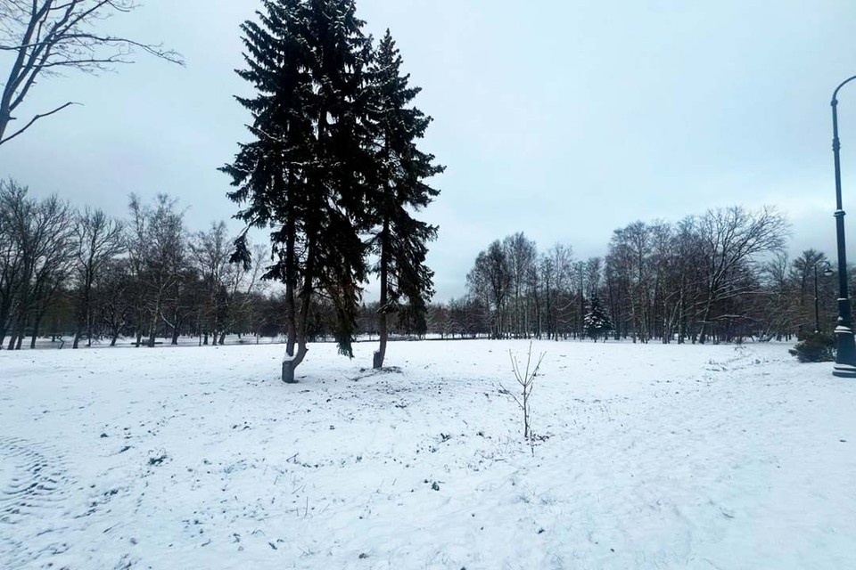    Сейчас участок полностью привели в порядок. Фото: Сергей Петриченко/Tg