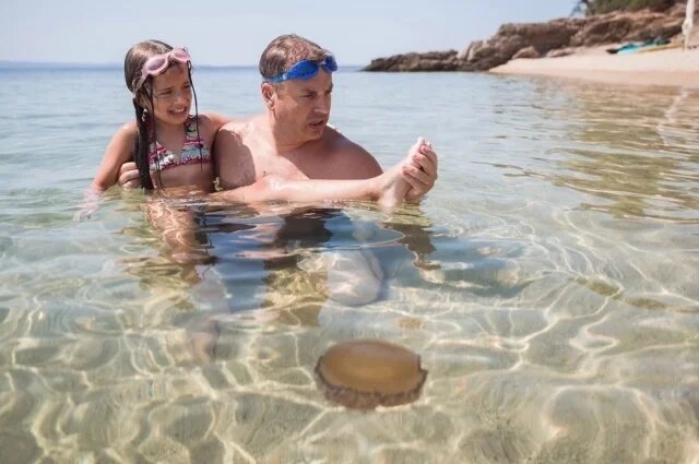    Что делать, если ужалила медуза?