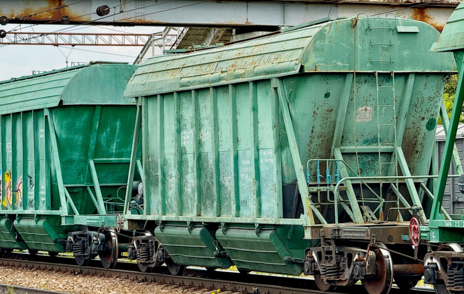    Сергей Петров/NEWS.ru