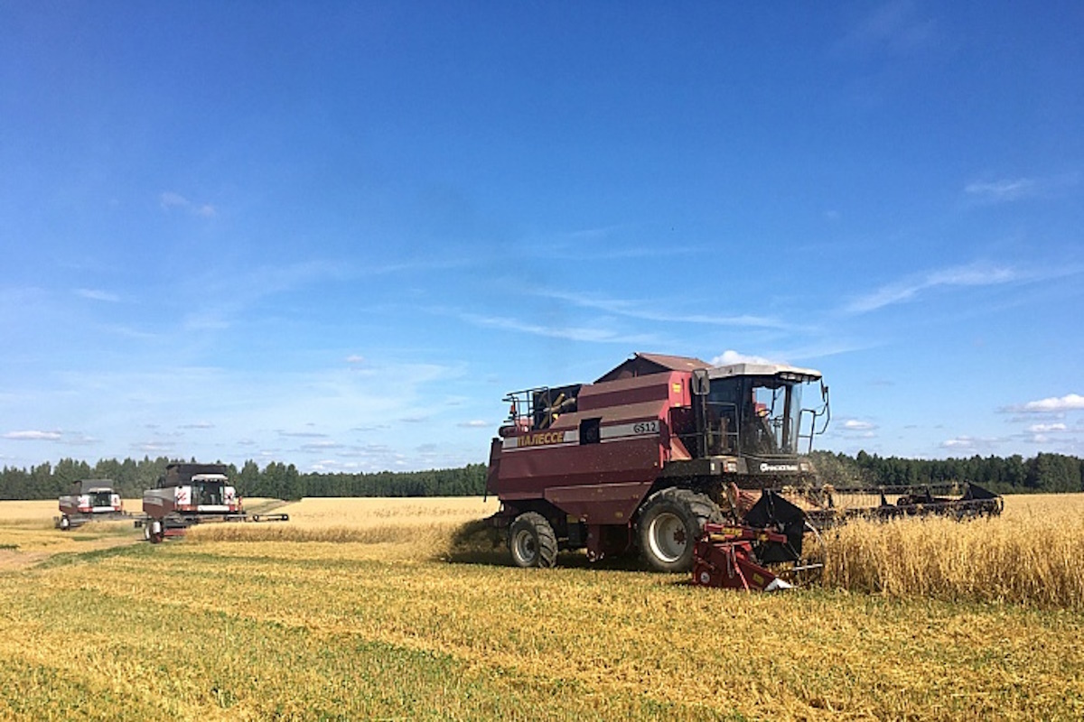    Фото: правительство Кировской области, источник: kirovreg.ru