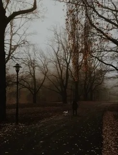 Картина из открытого источника сети Интернет. 