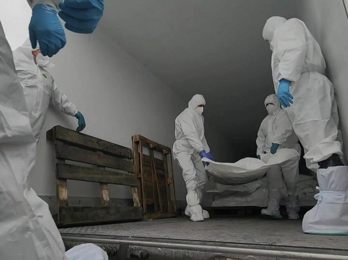    Передача тел погибших военнослужащих ВСУ© РИА Новости