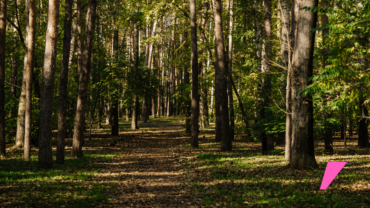 Парк Камвольного комбината находится в 15 минутах от жилого квартала «Чкаловский парк» компании «Практика»