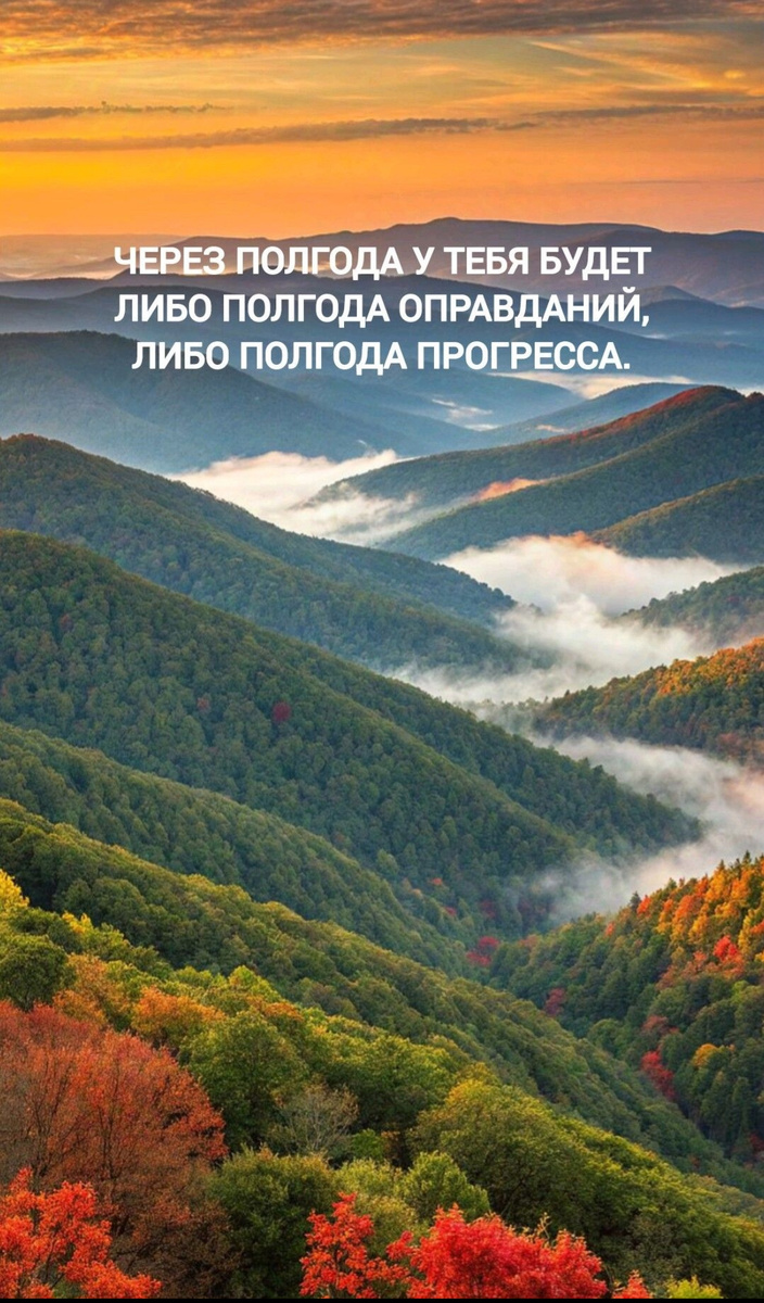 Взяла с просторов интернет. Но так ярко (в красках) отражает всю мою ‘суть’