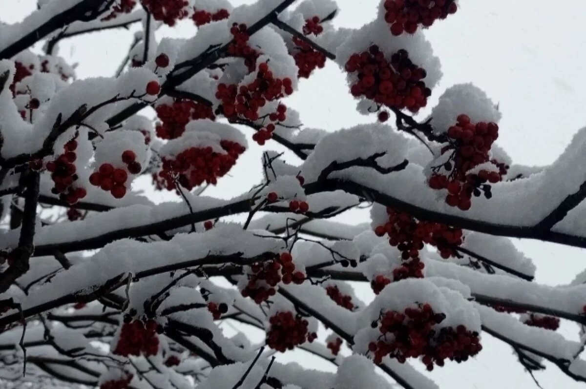    Синоптики опровергли аномальную зиму в Нижегородской области