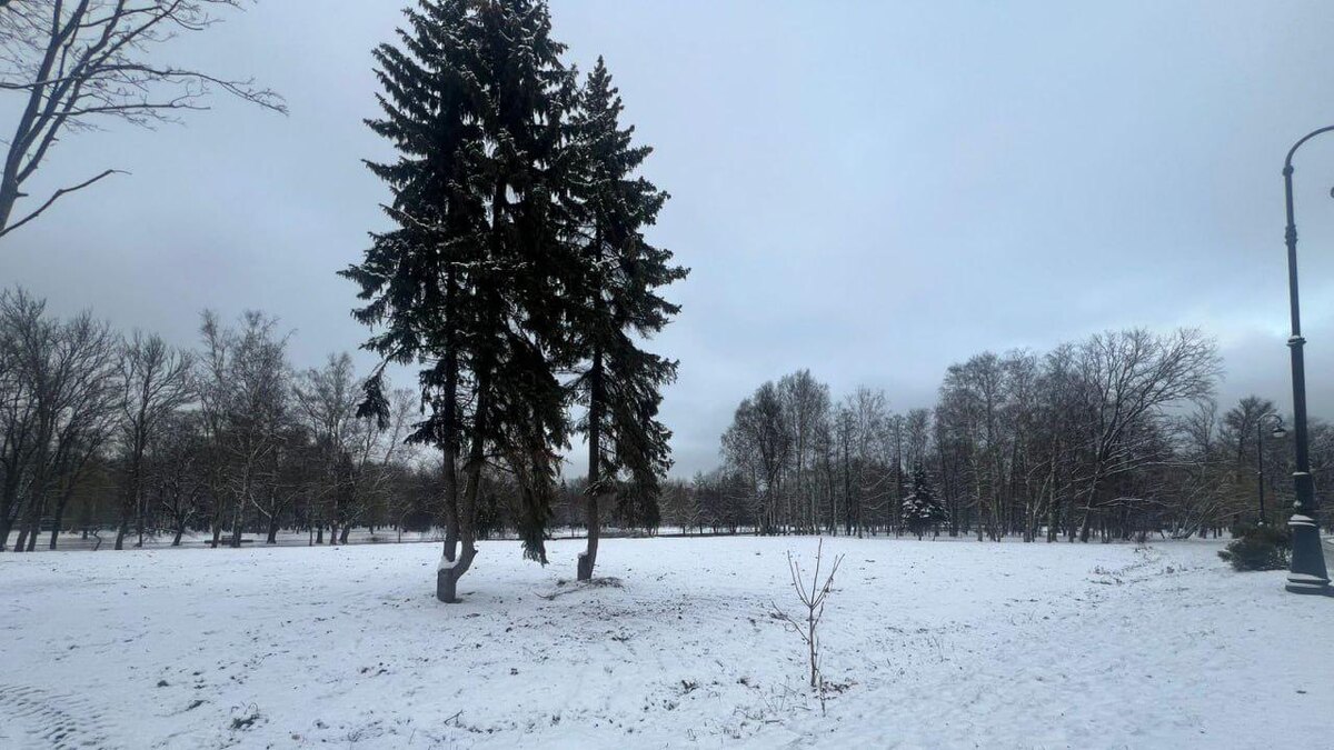    Фото: t.me/PetrichenkoSergey