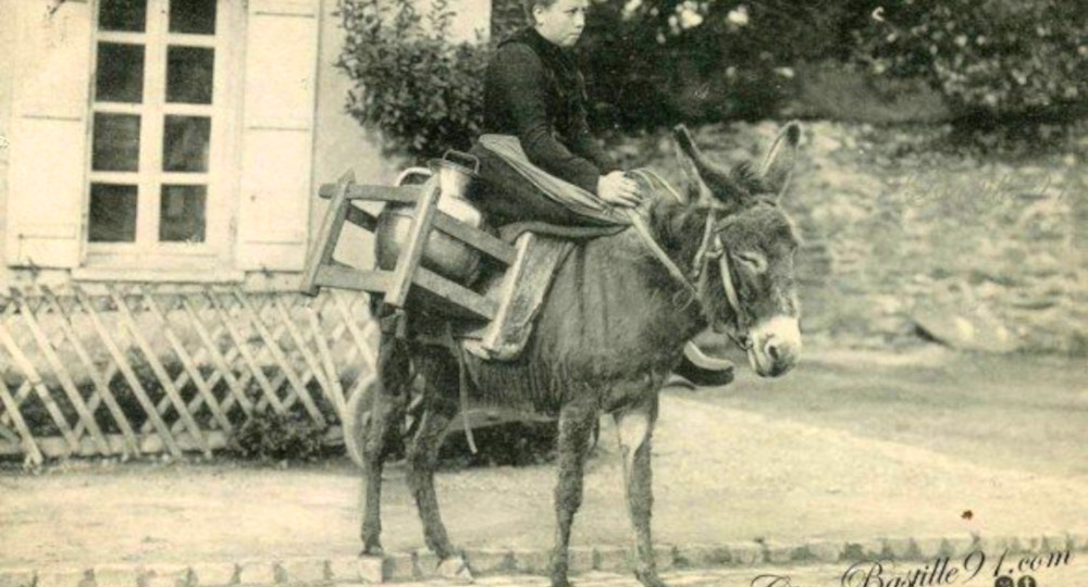 Как жили французы на рубеже XIX - XX века