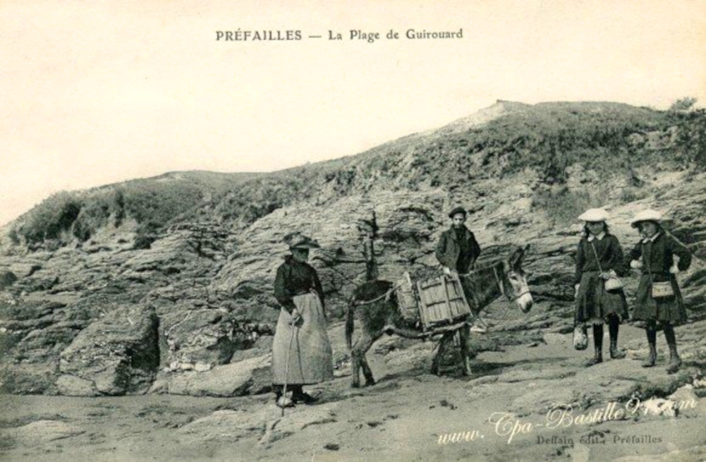 Западная Франция. Местечко Préfailles