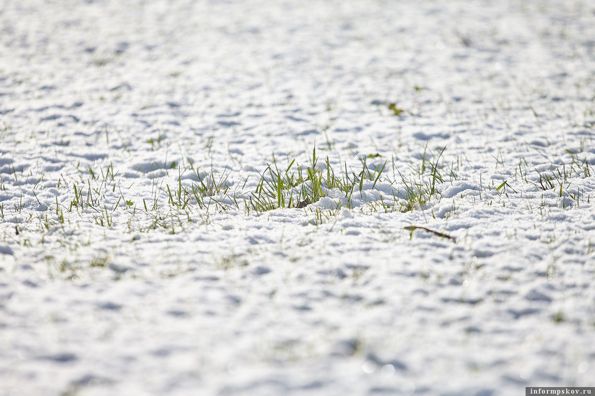 Фото: Дарья Хваткова