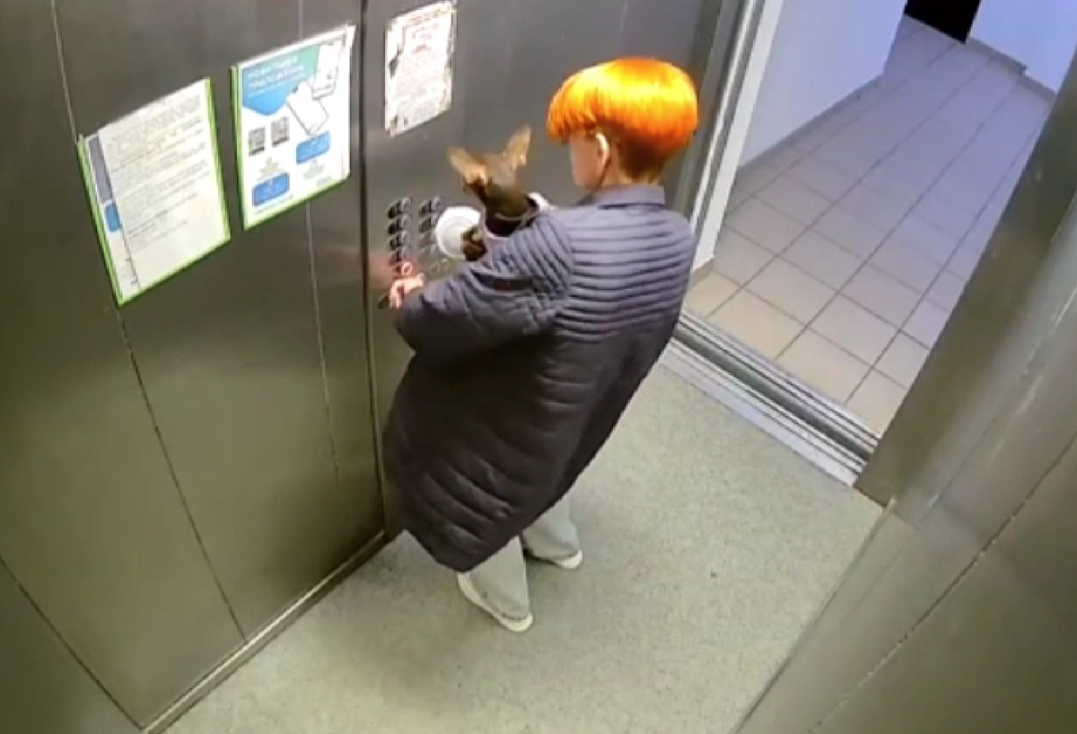     / Источник: Кадр из видео