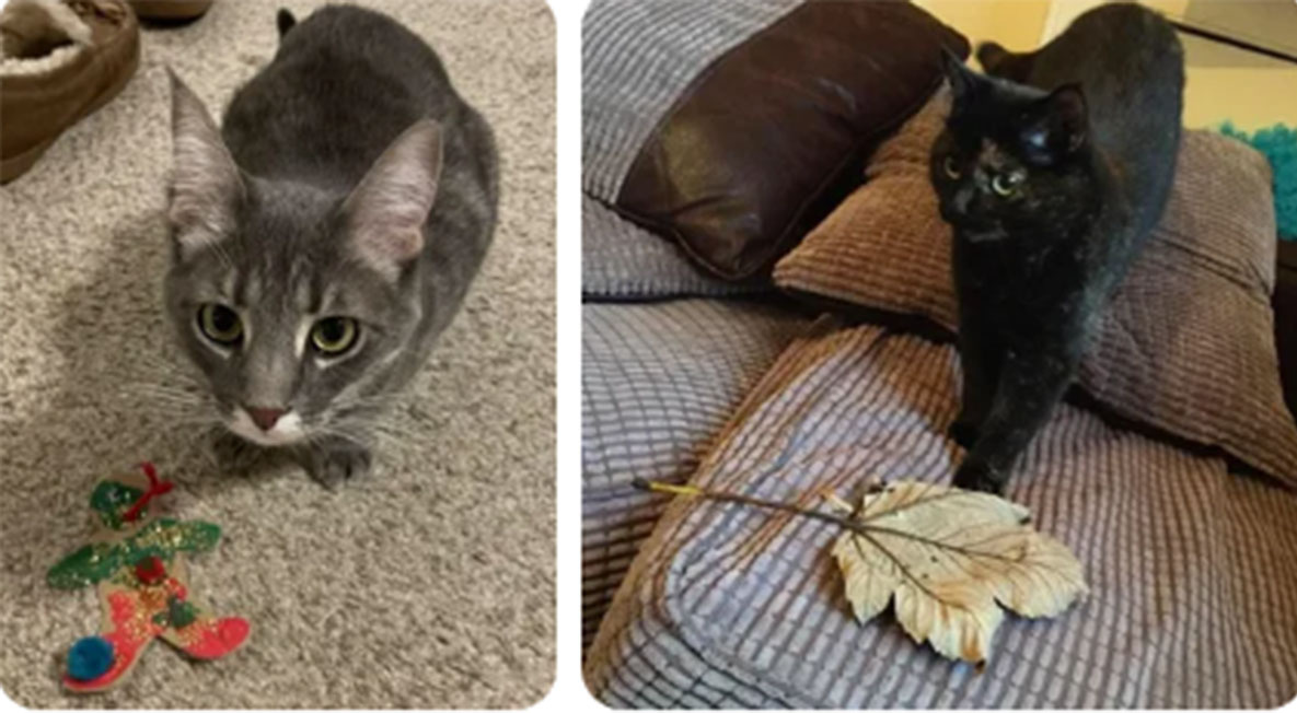 "Мне понравилось, как оно шуршит. Надеюсь, тебе тоже понравится". 