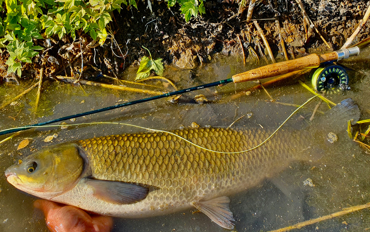 Для снасти 4-го класса это очень достойная рыба.