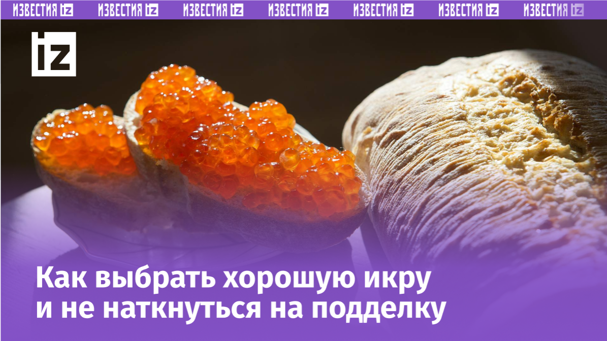 Фото: Global Look Press/Nikolay Gyngazov