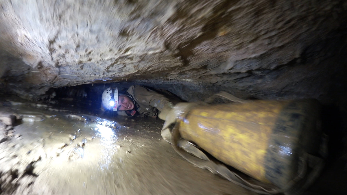 Яндекс картинки