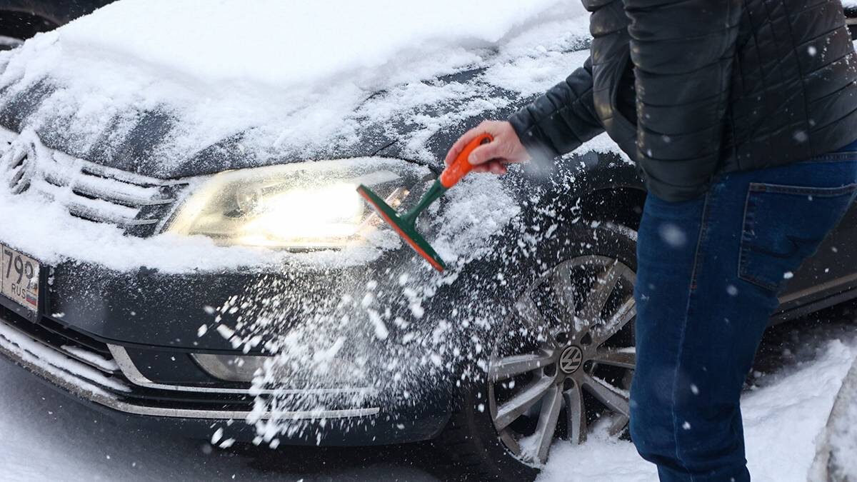    Фото: Ярослав Чингаев / АГН Москва