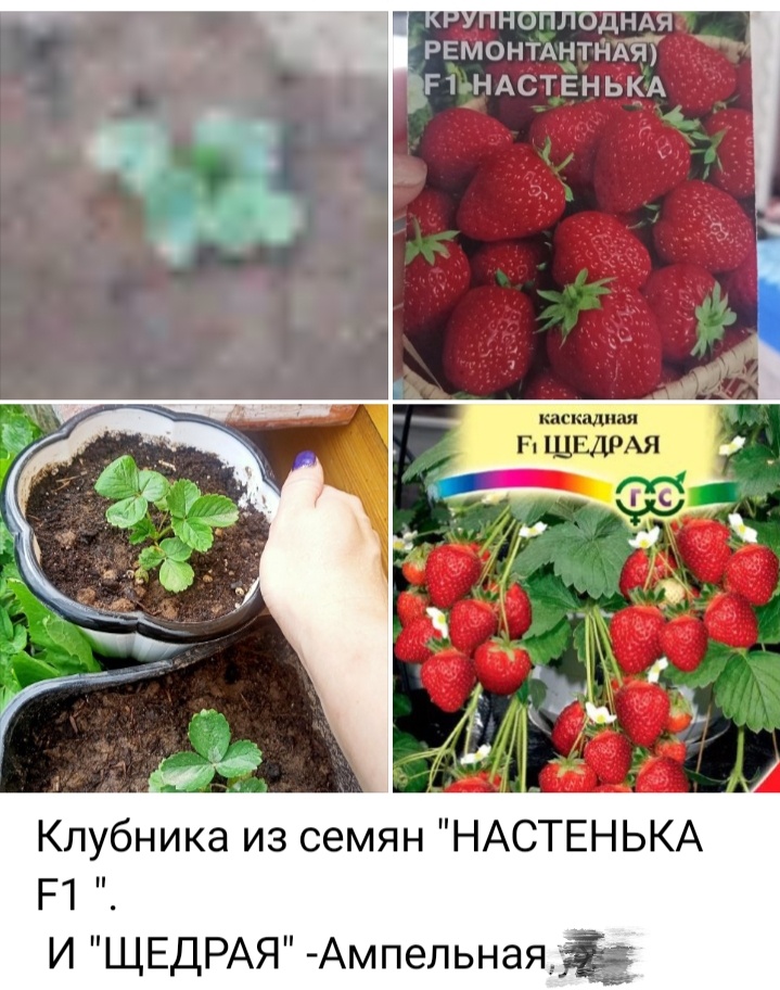 Фото 2024 год