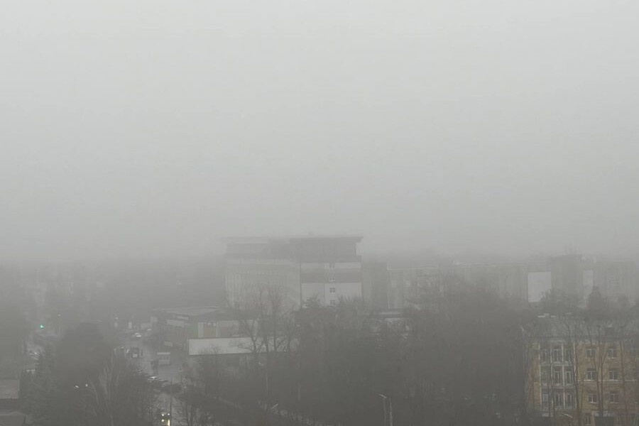    Фото: InfoOrel.ru, источник: infoorel.ru