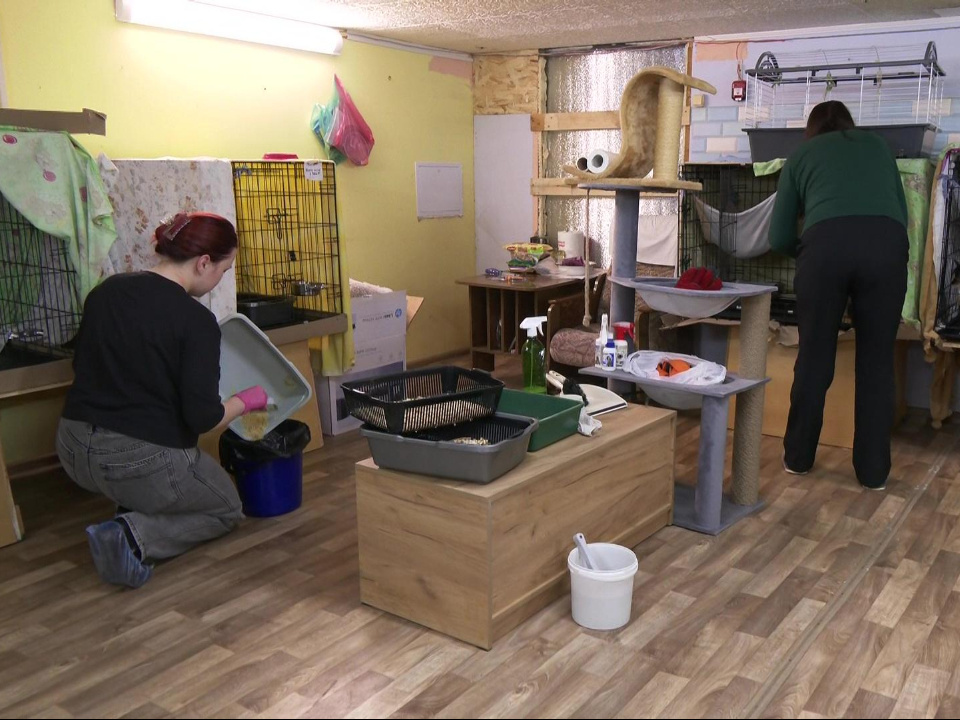     Фото: администрация г.о. Дубна