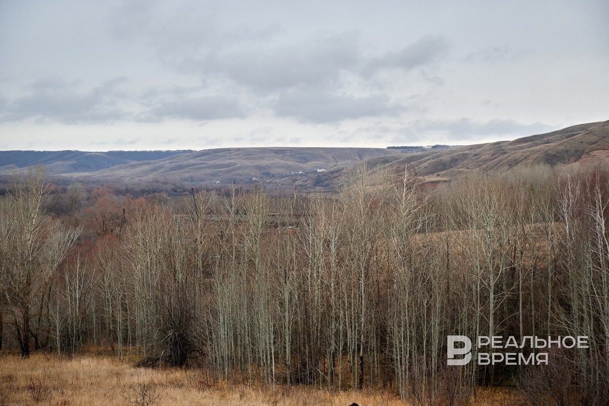   Динар Фатыхов / realnoevremya.ru