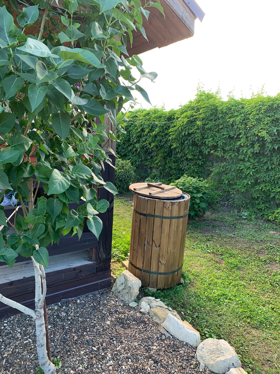 Северная часть патио прикрыта забором и зеленой изгородью. Фото Мой второй сад