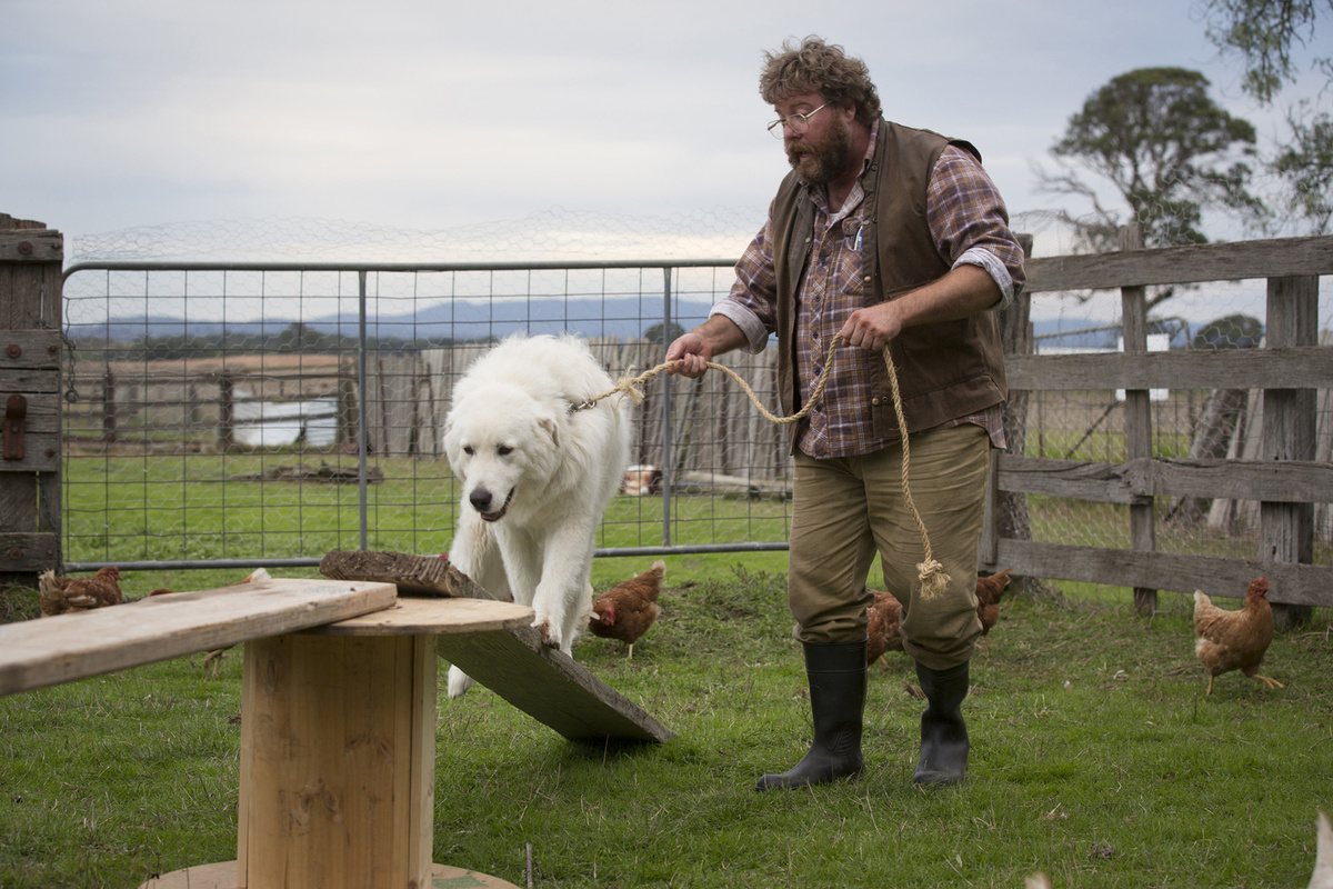 Источник изображения: https://images.kinorium.com/movie/shot/756232/w1500_48802668.jpg