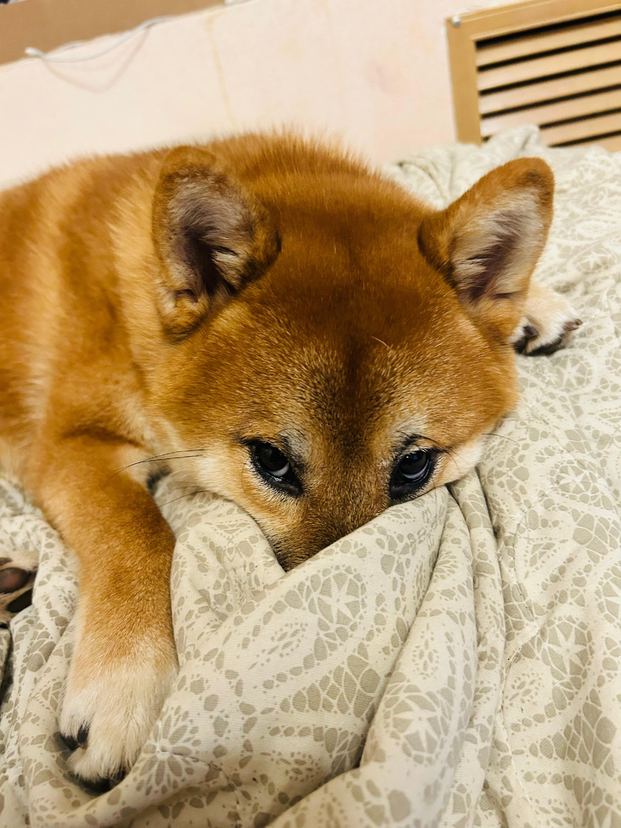 Особая сила - манипуляция!