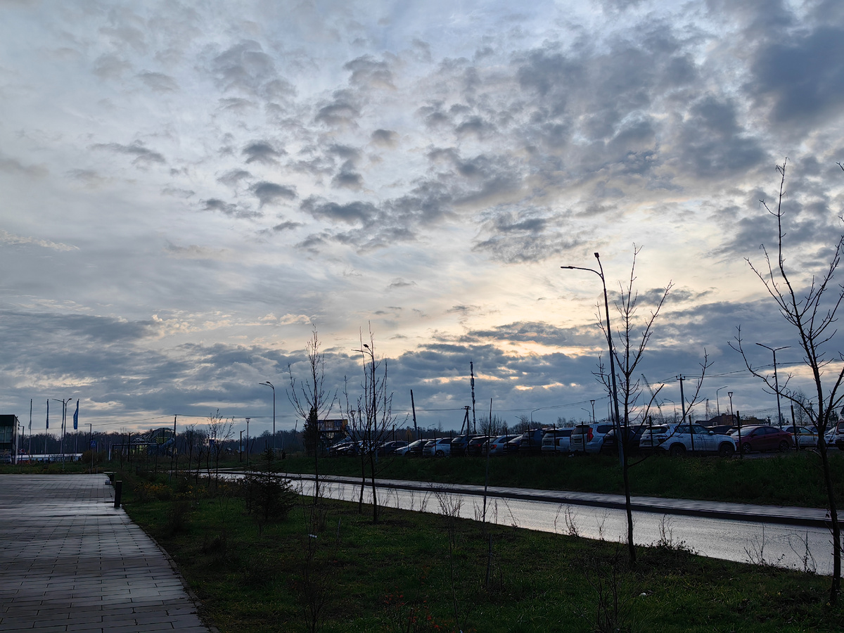 По дороге в лес. 