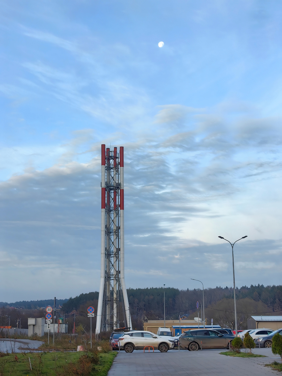 Мой любимый лес на горизонте 