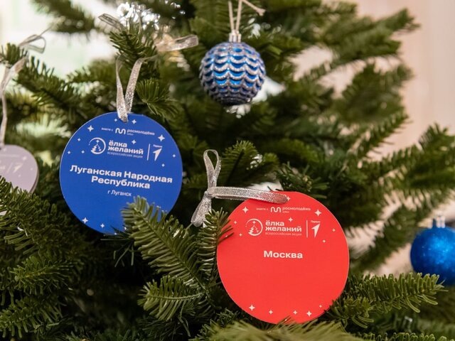    Фото: пресс-служба мэра и правительства Москвы/Владимир Новиков