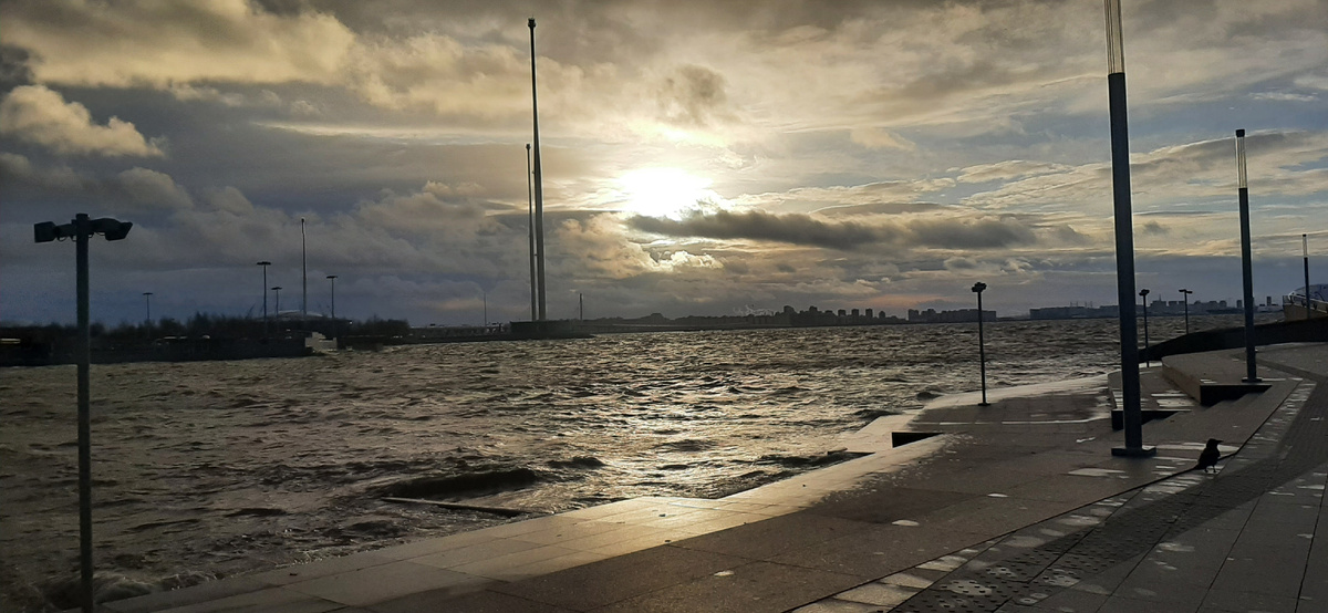 Санкт-Петербург. Финский залив.