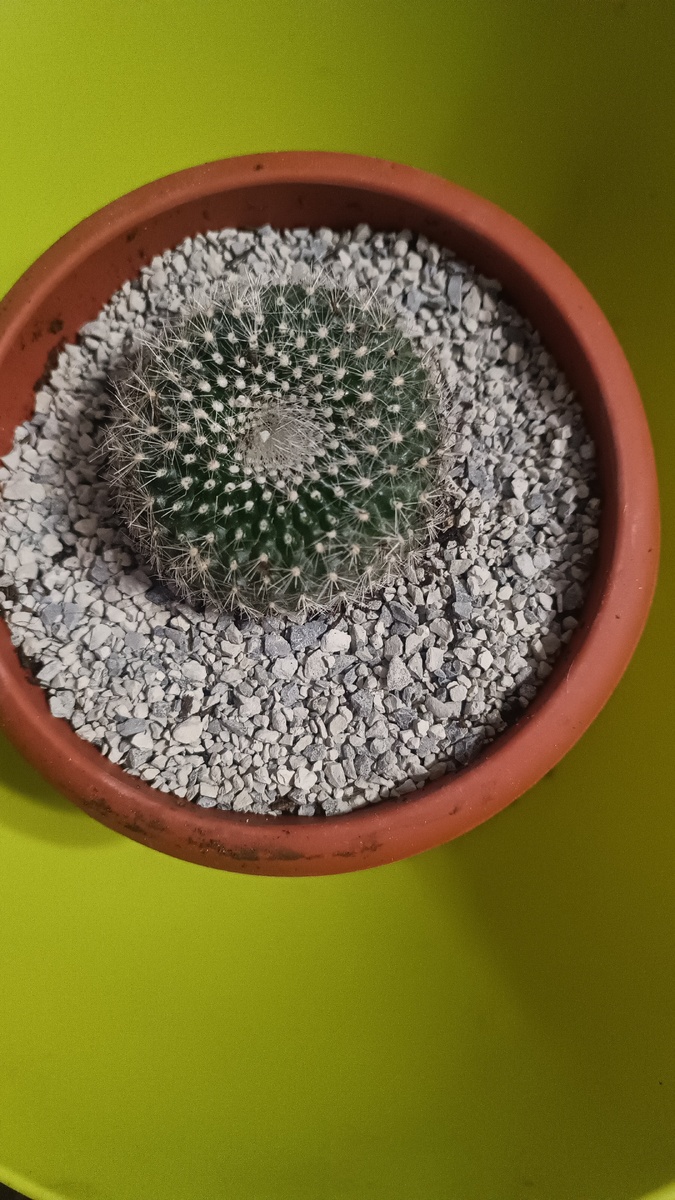 Моё новое/старое увлечение 😍