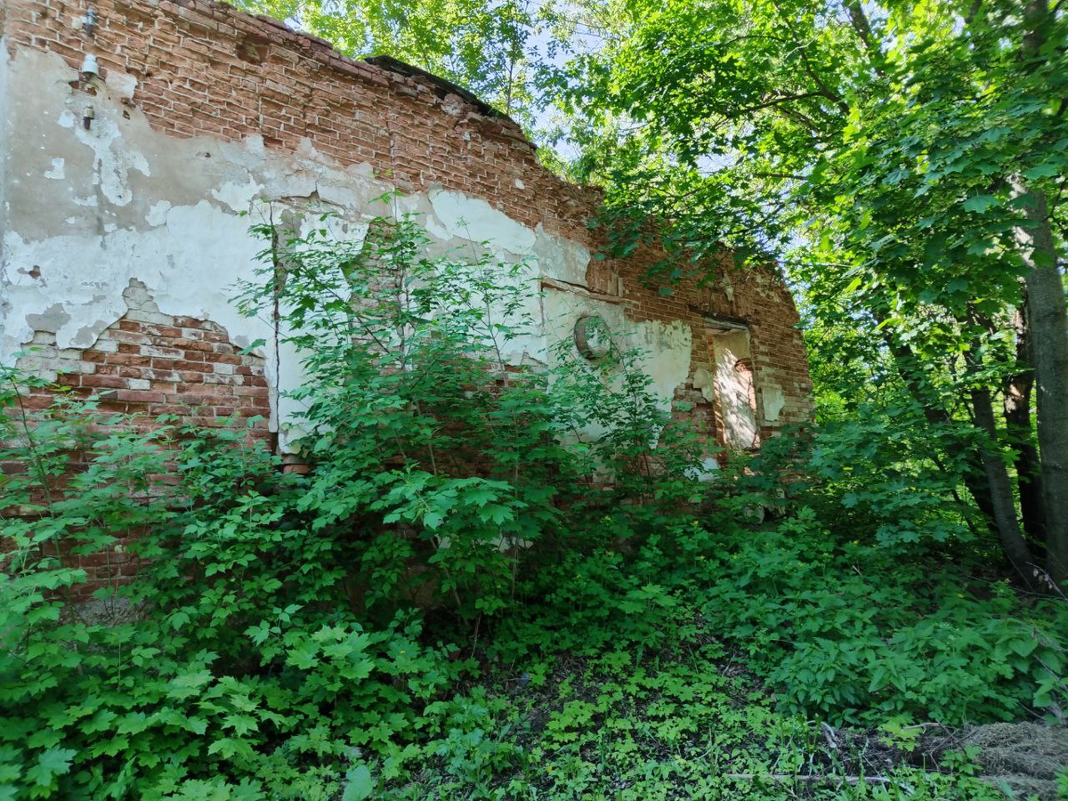 Фото автора.