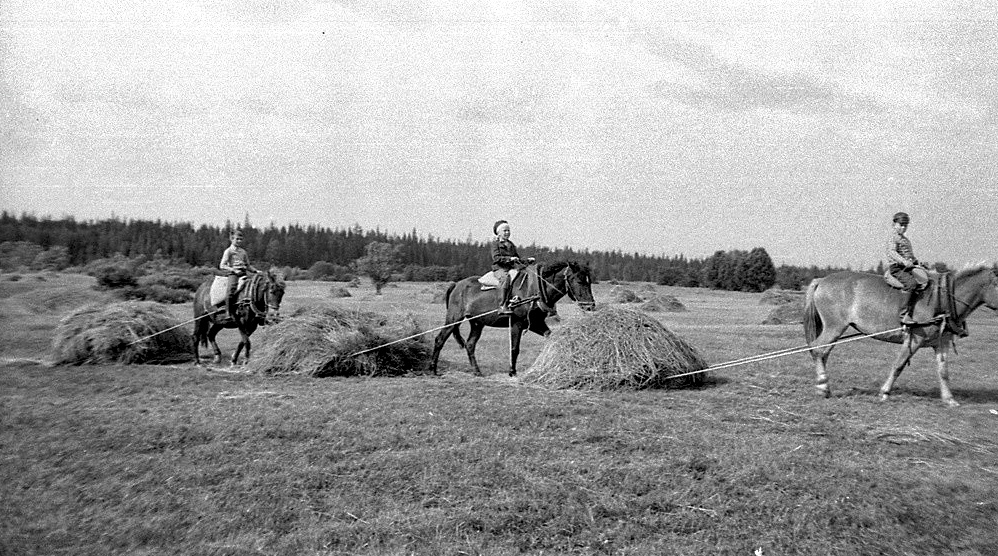 Фото из открытых источников.