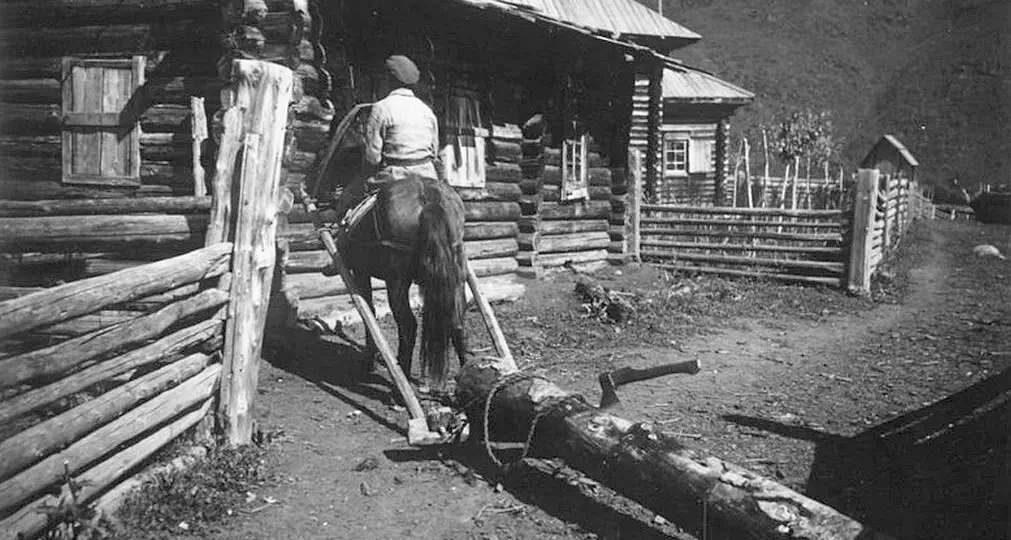 Волокуша в жизни советской деревни